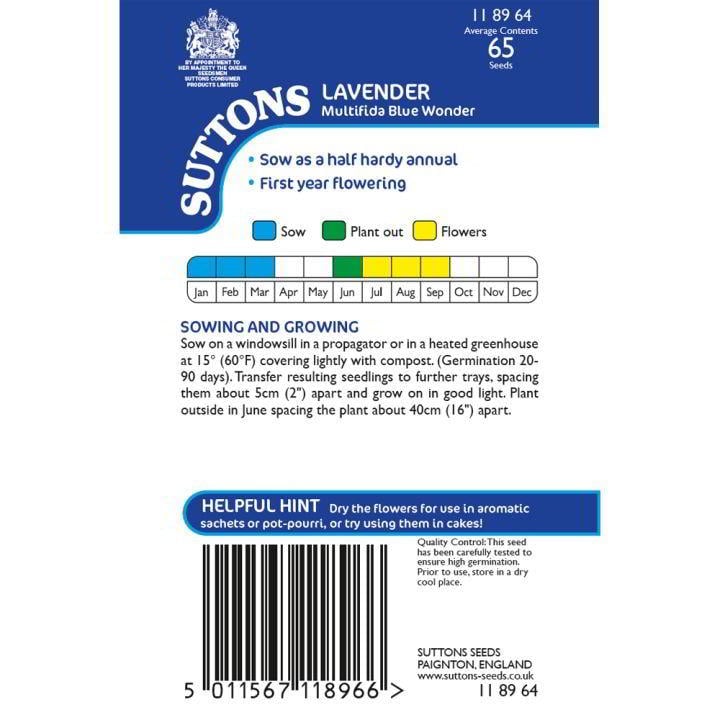 Suttons Lavender Multifida Blue Wonder Seeds