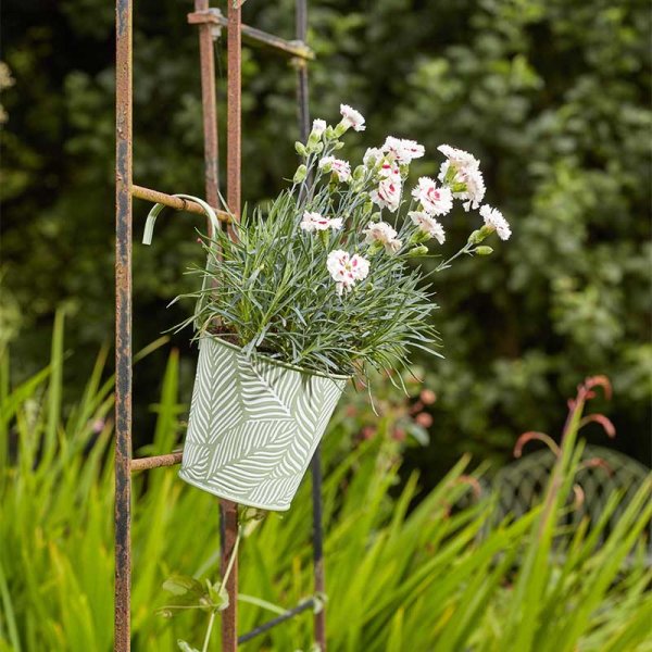Smart Garden 6" Fern Sage Fence & Balcony Hanging Pot