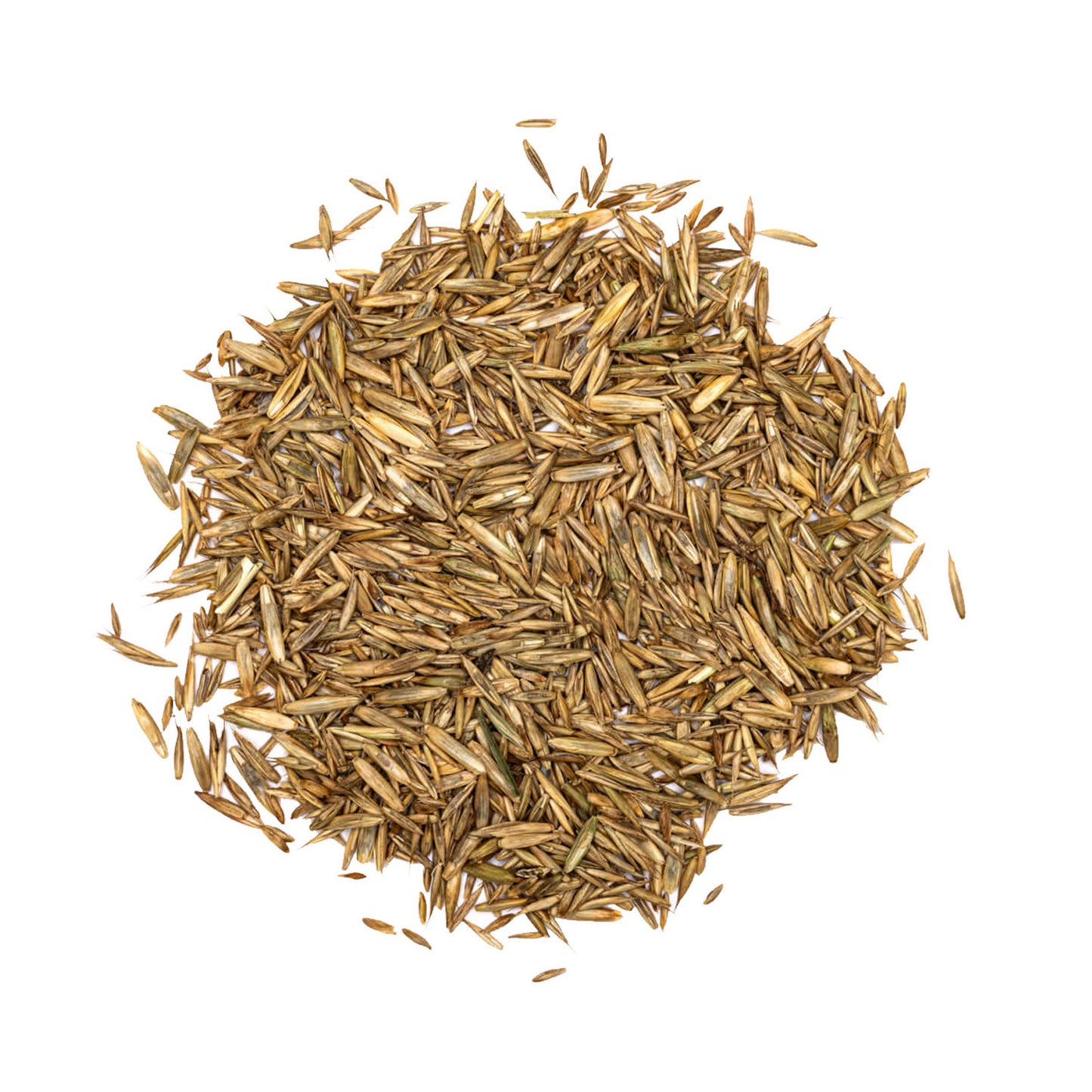 5 x Grass Seed