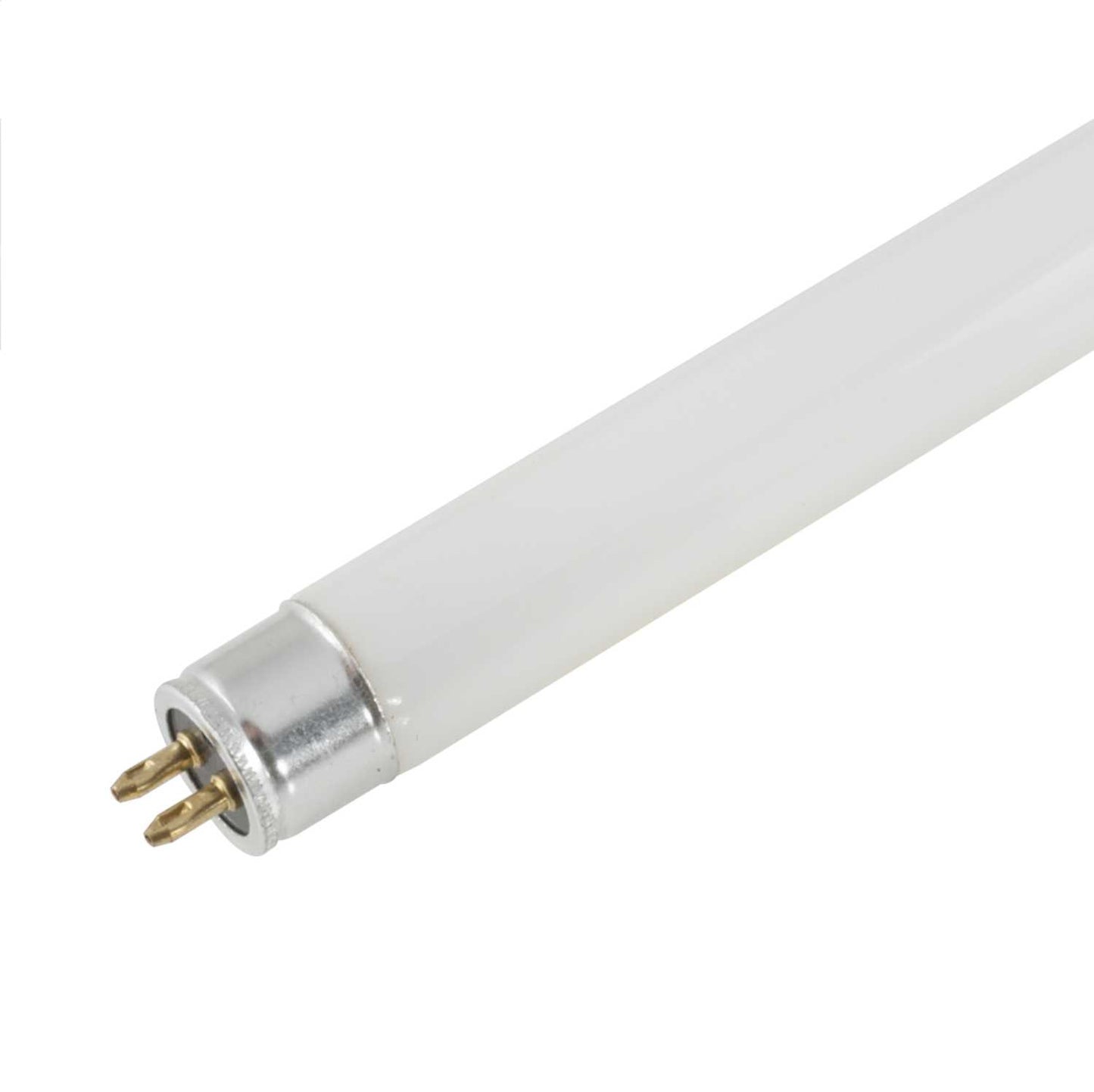 Fusion T5 8W Fluorescent Tube