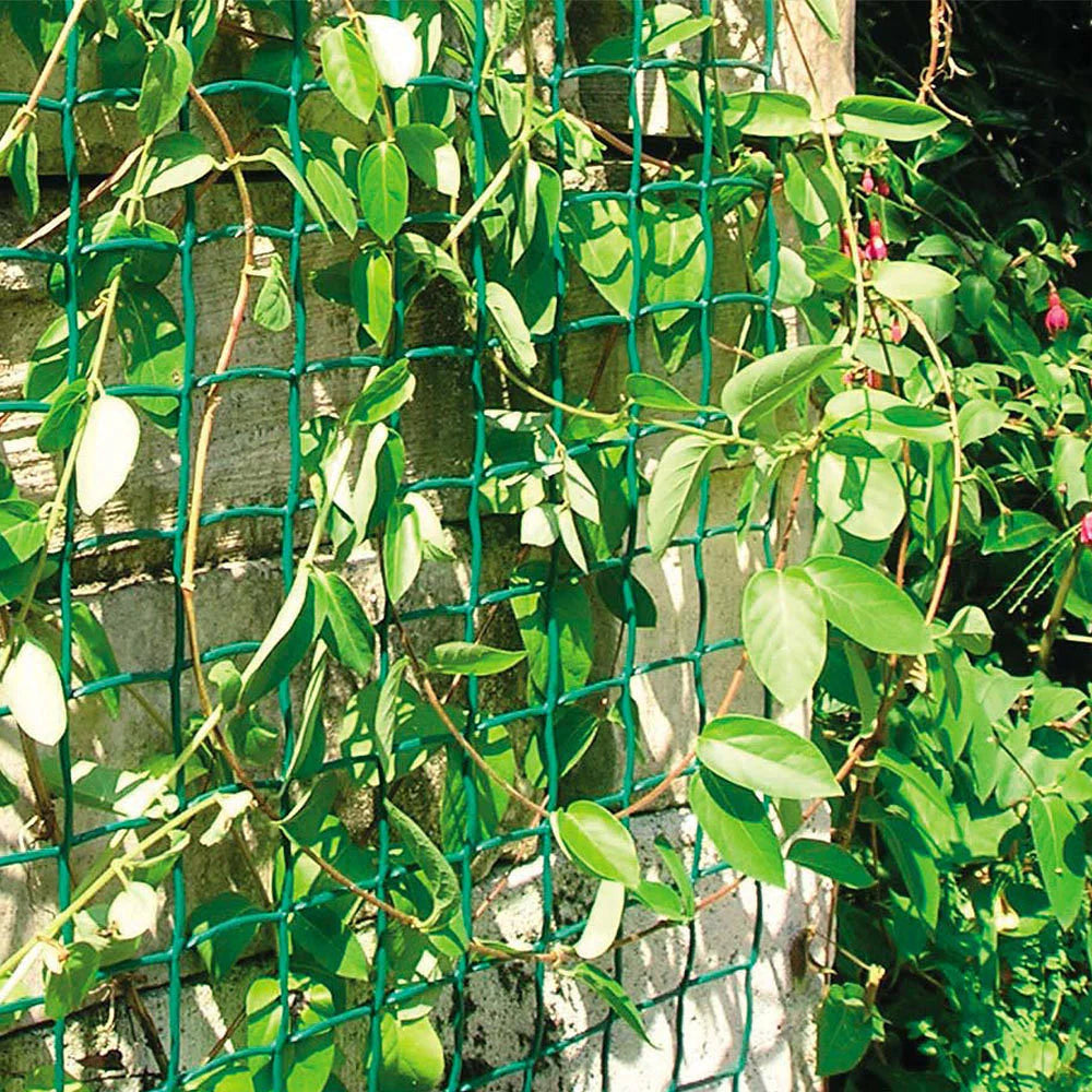Apollo 50mm Green Climbing Plant Support Mesh - Sold Per Metre