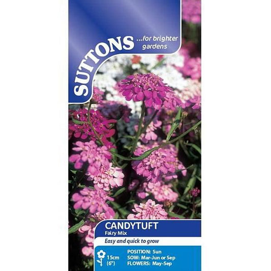 Suttons Candytuft Fairy Mix Seeds