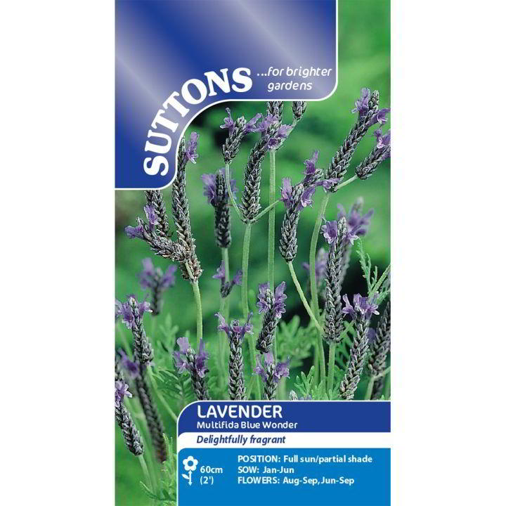 Suttons Lavender Multifida Blue Wonder Seeds
