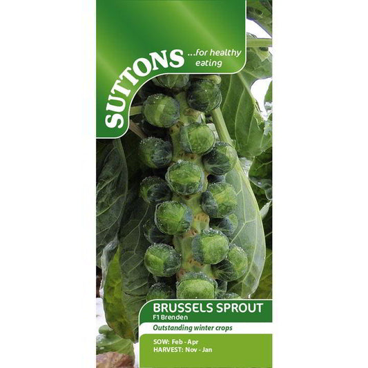 Suttons Brussel Sprout Brenden F1 Seeds