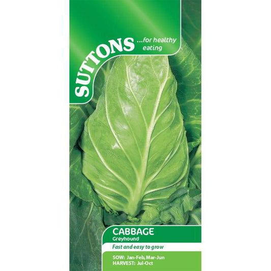 Suttons Cabbage Greyhound Seeds