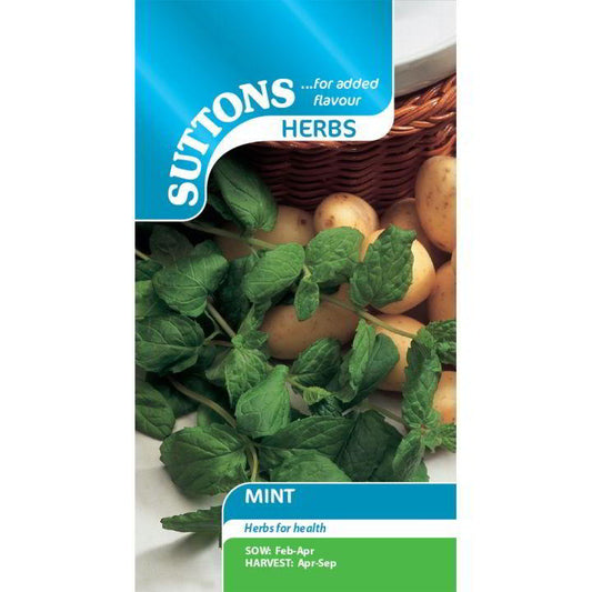 Suttons Herbs Mint Seeds