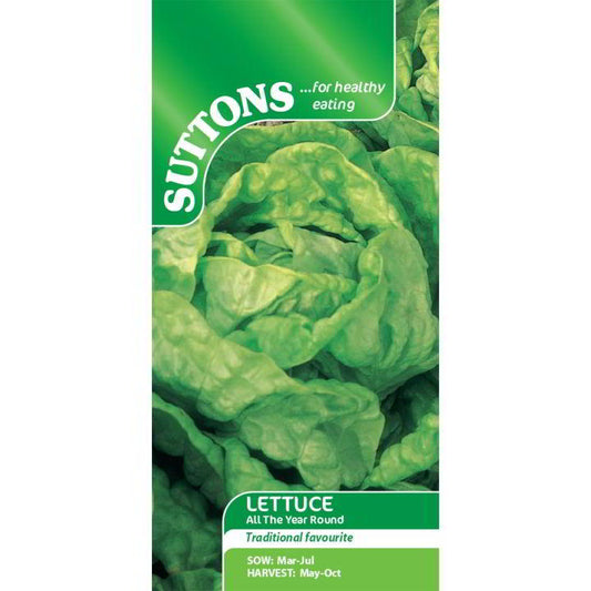 Suttons Lettuce All The Year Round Seeds