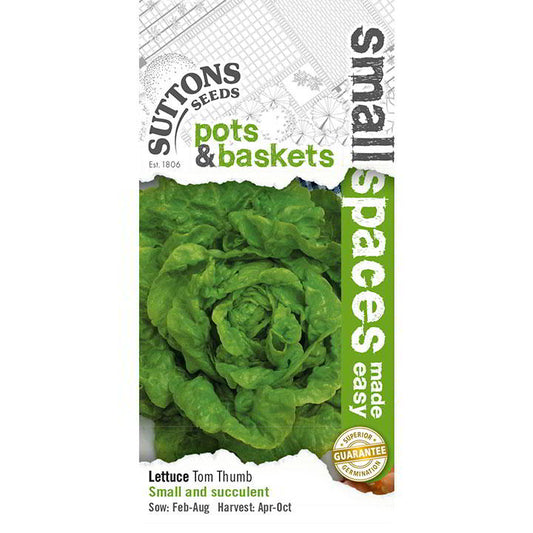 Suttons Lettuce Tom Thumb Seeds
