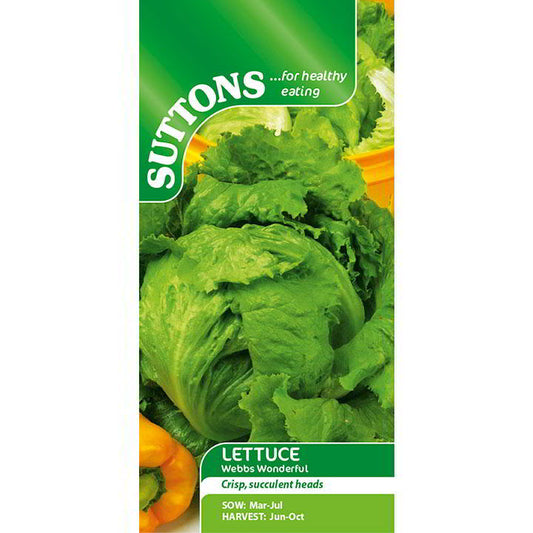 Suttons Lettuce Webbs Wonderful Seeds