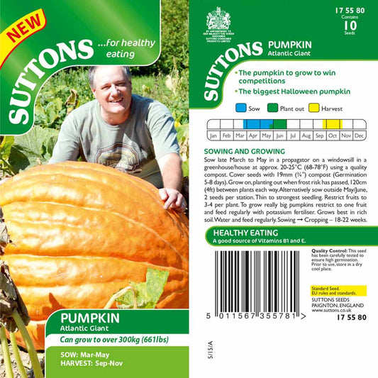 Suttons Pumpkin Atlantic Giant Seeds