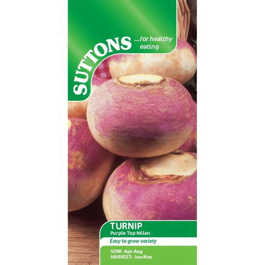 Suttons Turnip Purple Top Milan Seeds