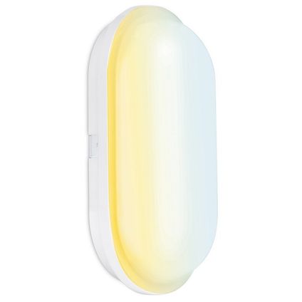 Aurora 15W UtiliteCS Colour Switchable Oval Bulkhead Light