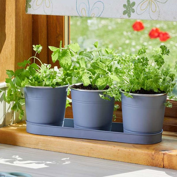Smart Garden Slate Windowsill Herb Pots