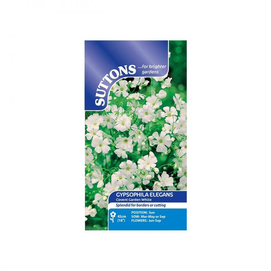 Suttons Gypsophila Elegans Covent Garden White Seeds