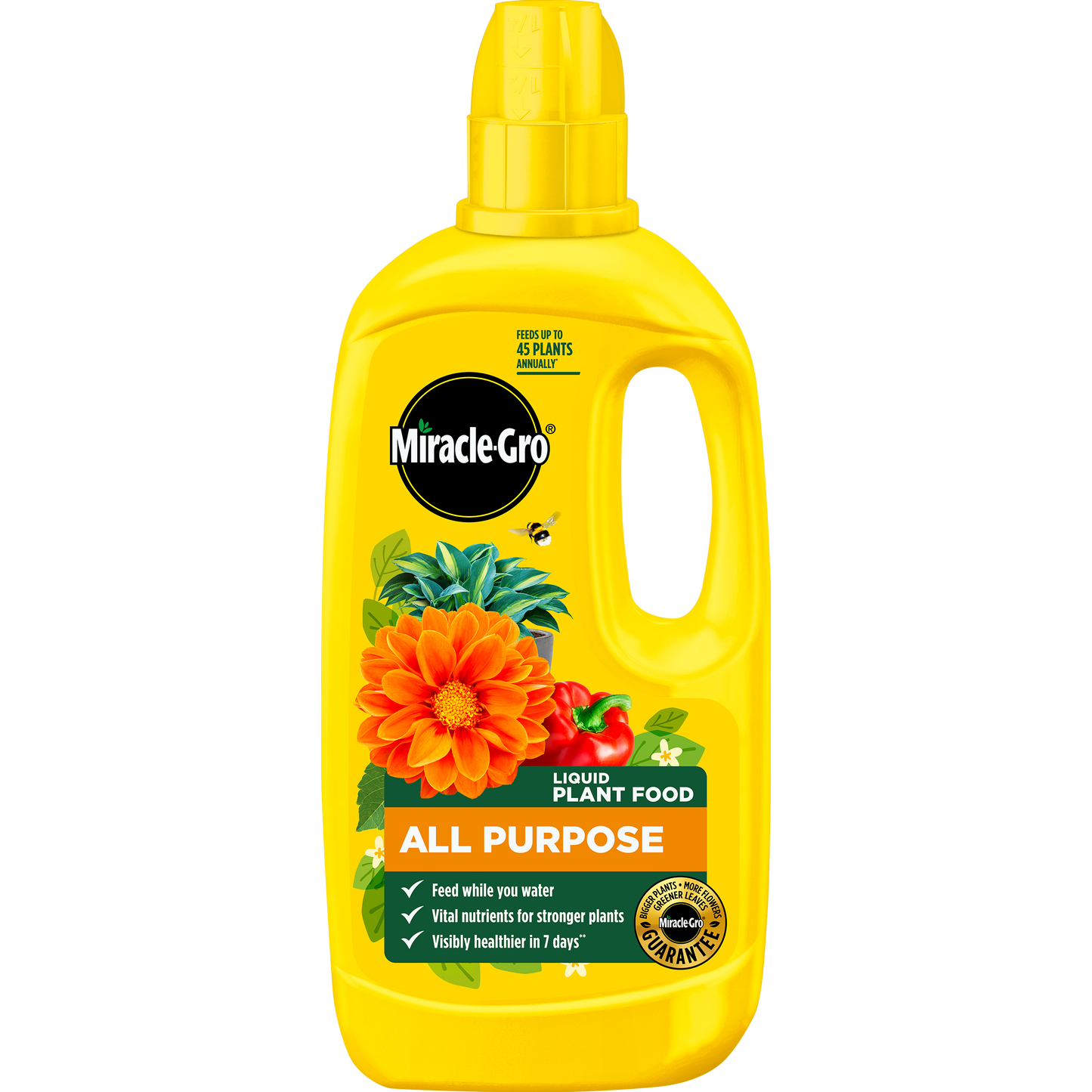 Miracle Gro All Purpose Concentrated Liquid Plant Food 800ml