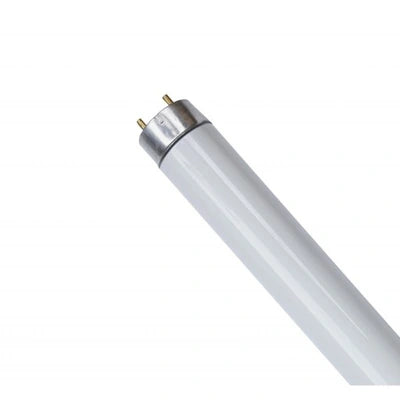 Bellight T8 36W 4ft Fluroscent Tube