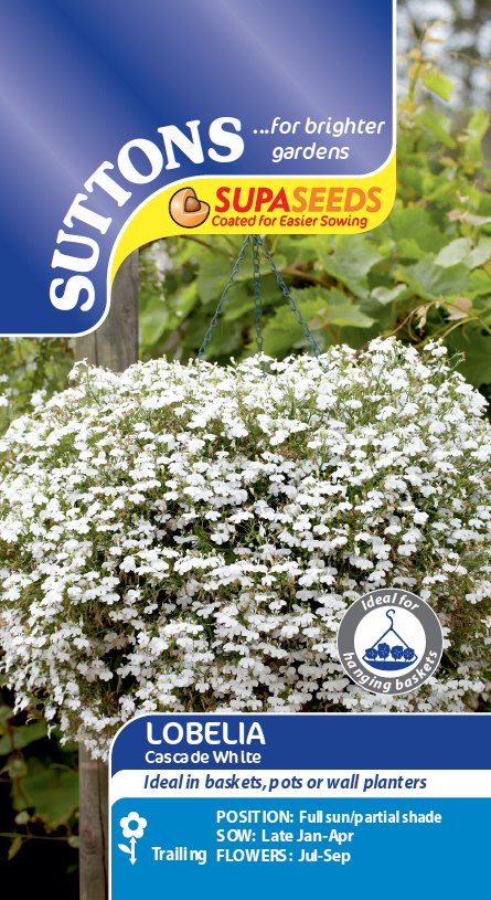 Suttons Lobelia Supacoat Cascade White Seeds