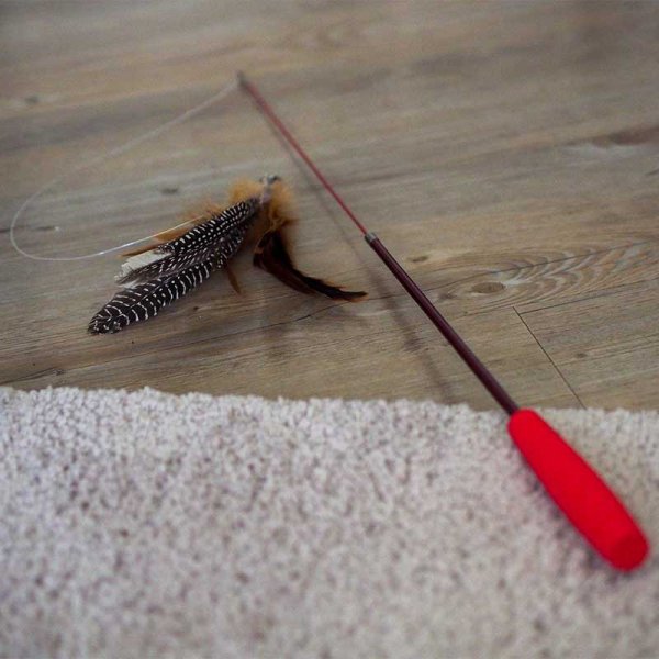 Zoon Telescopic Tickle Stick