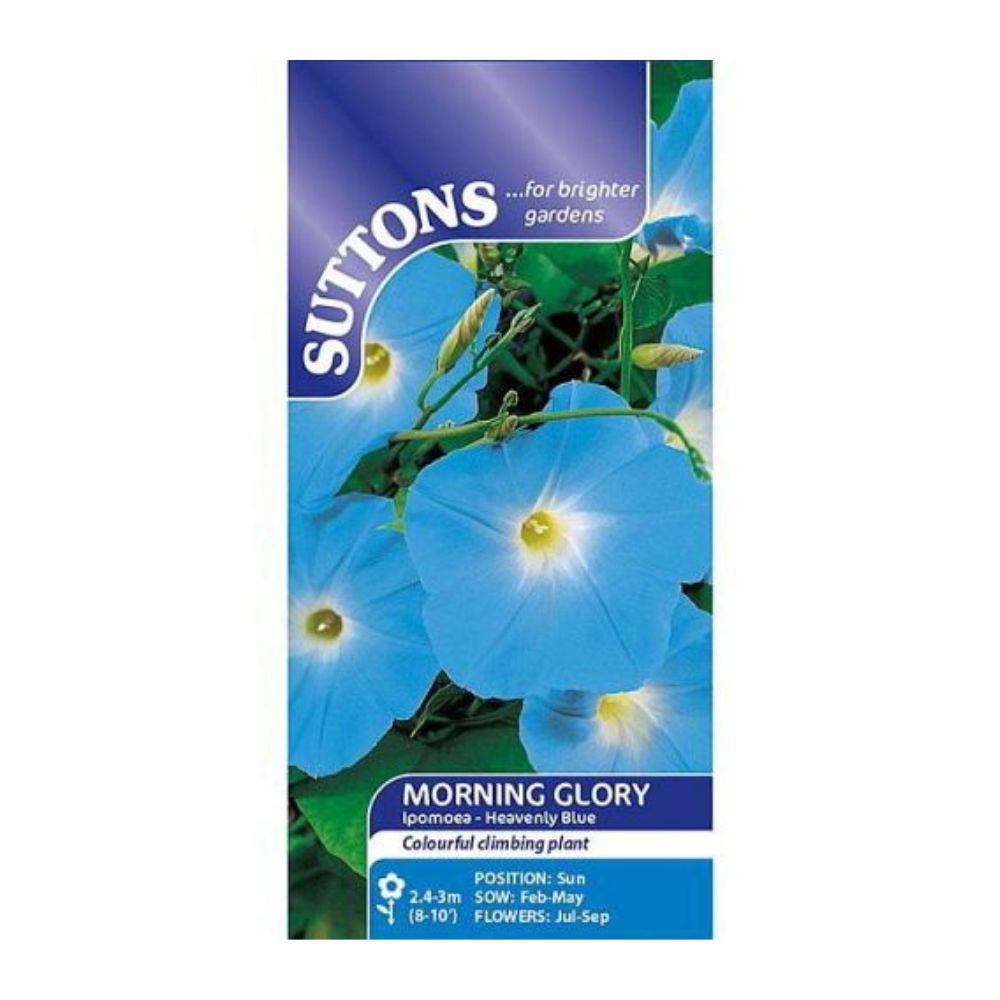 Suttons Morning Glory Ipomoea Heavenly Blue Seeds