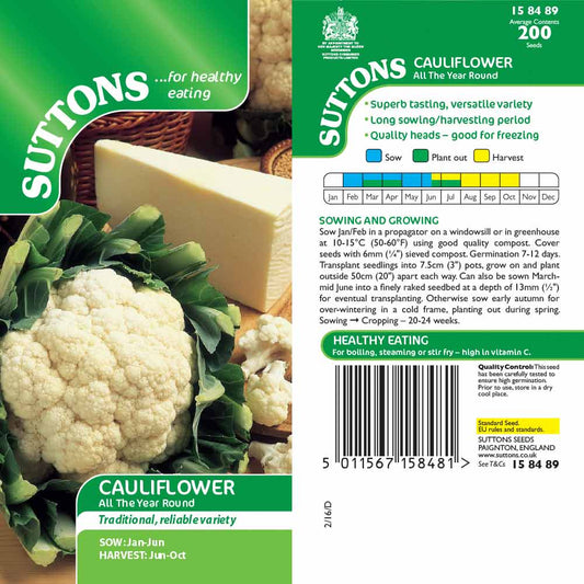 Suttons Cauliflower All The Year Round Seeds