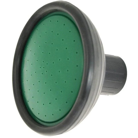 Green Jem Watering Can Rose