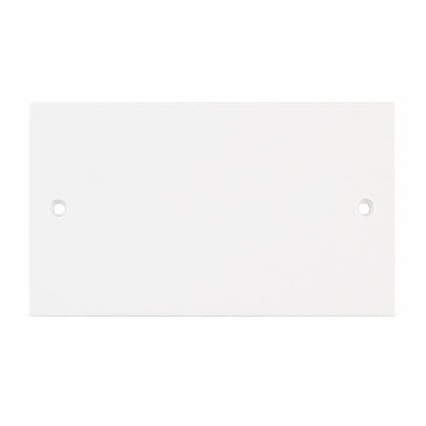 Selectric 2 Gang White Blanking Plate