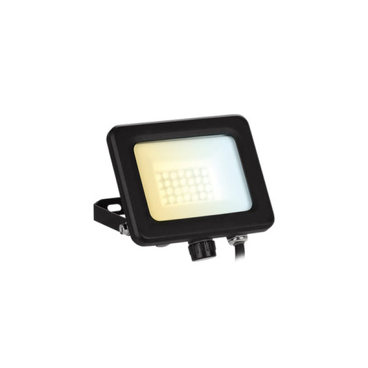 Aurora LED 10W Floodlight