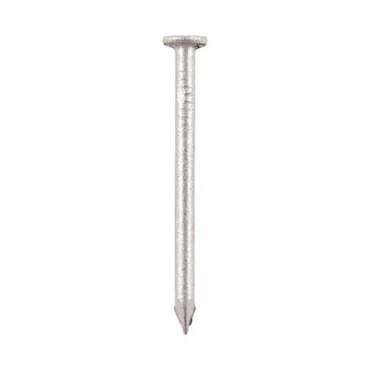 Allgrip Galvanised Round Wire Nails 100mm 1kg