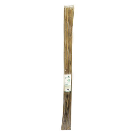 Kingfisher 5ft Bamboo Canes 10 Pack