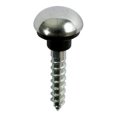 Banner Chrome Mirror Screws 38mm 2 Pack