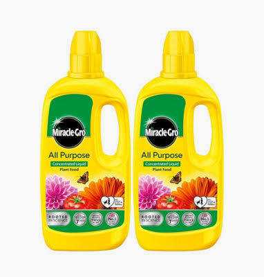 Miracle-Gro All Purpose Concentrated Liquid Plant Food 1L 2 Pack